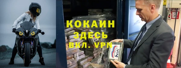 гидра Михайловка