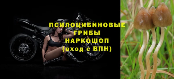 гидра Михайловка
