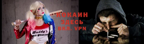 амф Анива