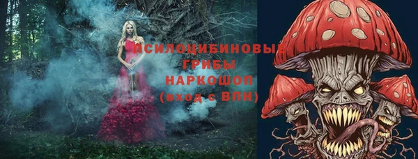 гидра Михайловка