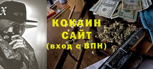 гидра Михайловка