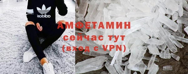 гидра Михайловка