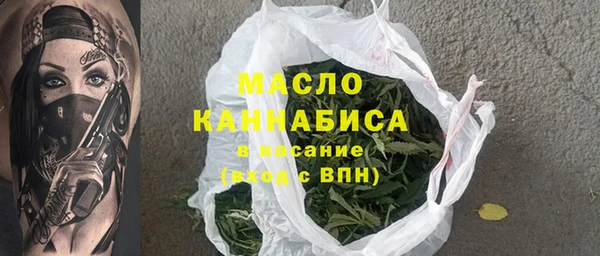 гидра Михайловка