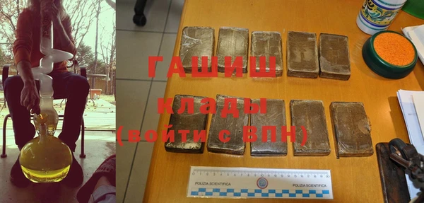гидра Михайловка