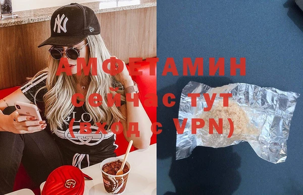 гидра Михайловка