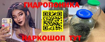 крисы Апрелевка