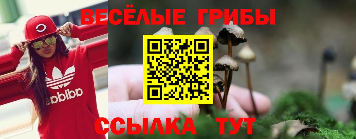 Галлюциногенные грибы мицелий  Вход с VPN  Галлюциногенные грибы Psilocybine cubensis  Уварово 